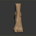 3D Model of Man's Foot Featuring Realistic Anatomical Details and Digital Rendering Design