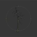 Dry Leafless Tree with Slender Trunk and Fibrous Roots on White Background