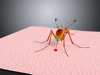 Detailed Mosquito Biting Human Skin With Red Droplet And Green Eyes 3d model