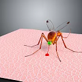 Detailed Mosquito Biting Human Skin With Red Droplet And Green Eyes