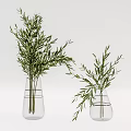Two Transparent Glass Vases With Green Leafy Plants And Water For Home Decoration