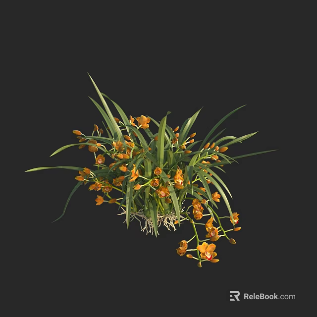 Orange Orchids Featuring Long Green Leaves and Visible Roots Against Black Background 3d model 