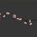 Elegant Curved Branch With Multiple Pink Flowers And Water Reflection On Gray Background