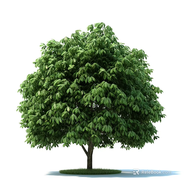 Lush Green Arbor With Dense Foliage And Healthy Branches 3d model 