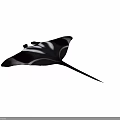 Black and White Manta Ray Featuring Unique Pattern and Long Tail in Blue Water