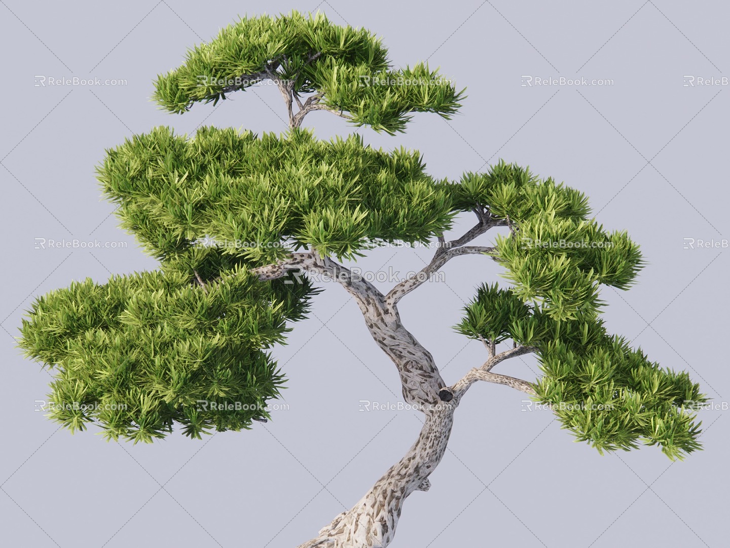 modeling tree modeling loose 3d model