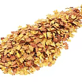 Natural Yellow and Brown Autumn Maple Leaves Pile for Decorative Fall Scenery