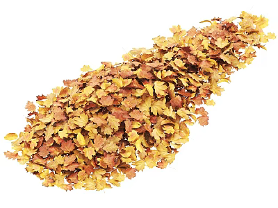 Natural Yellow and Brown Autumn Maple Leaves Pile for Decorative Fall Scenery 3d model