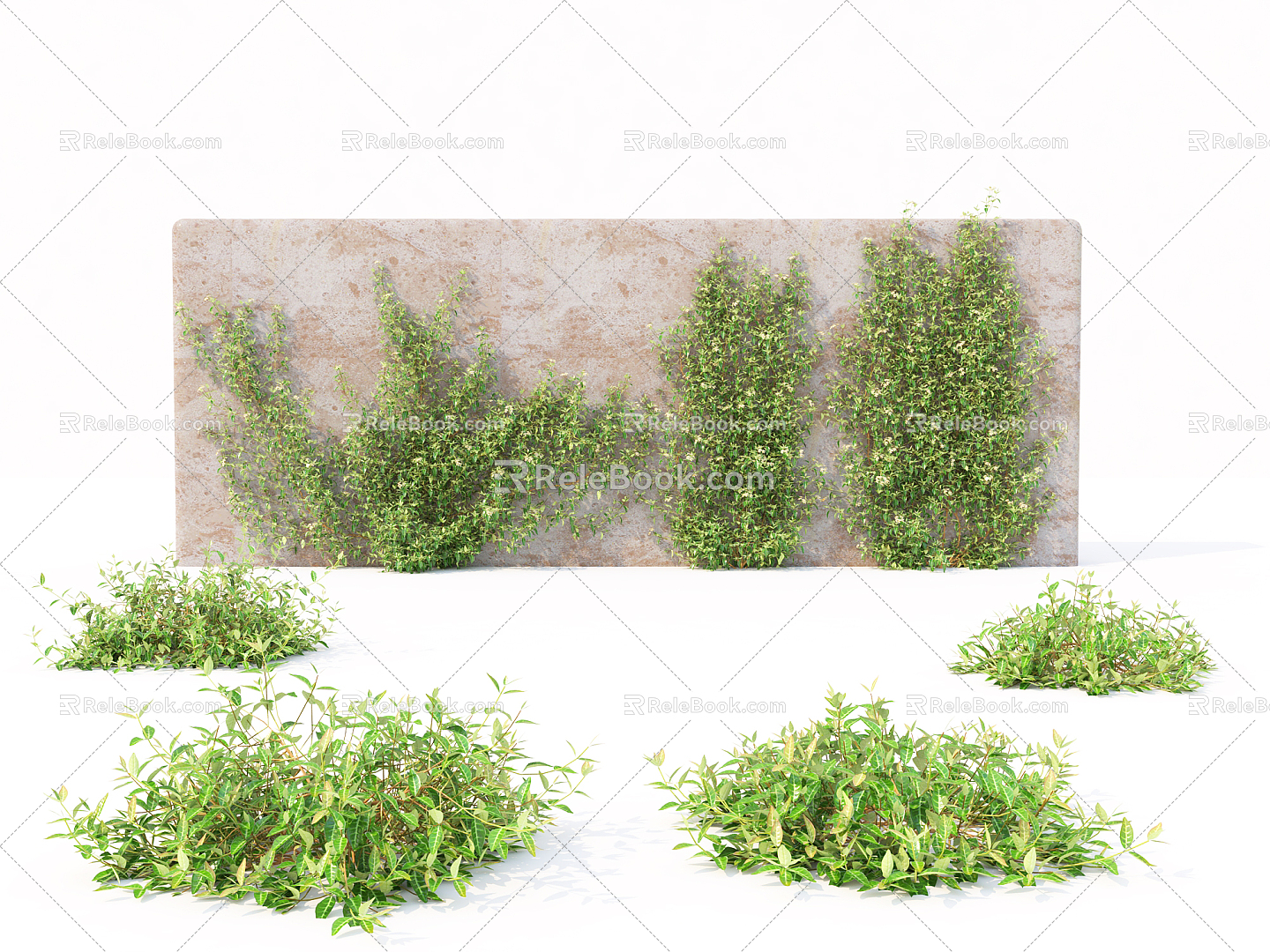 Modern Vine Vine Plant 3d model