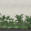 Lush Green Tropical Plants With Banana Leaves And Palm Fronds Against Light Beige Wall