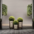 Modern Potted Plants with Trimmed Green Foliage in Metal Pots Against Gray Wall Dark Grilles