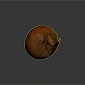Fresh Brown Onion With Green Leaf And Textured Surface On Dark Background