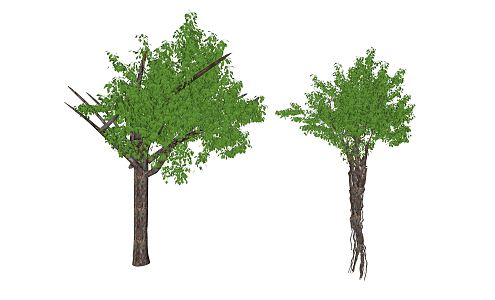 Modern Tree Landscape Tree 3d model