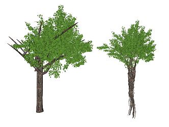 Modern Tree Landscape Tree 3d model