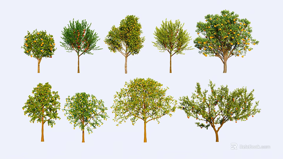 Various Types of Arbor Trees With Green Foliage and Fruits in Natural Setting 3d model 