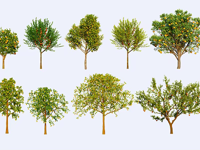 Various Types of Arbor Trees With Green Foliage and Fruits in Natural Setting 3d model