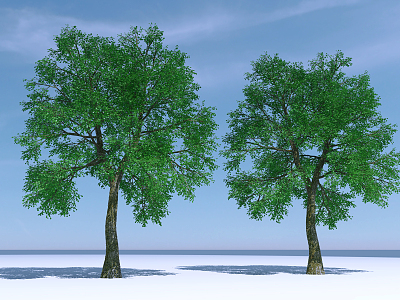 The Modern Tree 3d model