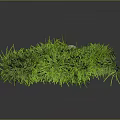 Natural Stone Decor with Lush Green Grass for Outdoor Garden Design