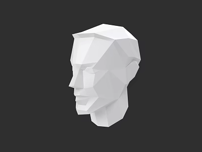White Low Poly Man's Head 3D Model in Side View with Black Background 3d model