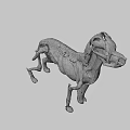 3D Anatomical Model of Dog Showing Skeleton Muscles and Internal Organs