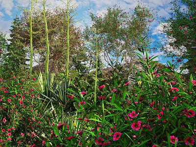 Vibrant Pink Flowers and Lush Green Plants in Garden With Blue Sky Background 3d model