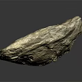 Ancient Marine Animal Fossil With Detailed Shell Structure On Dark Background