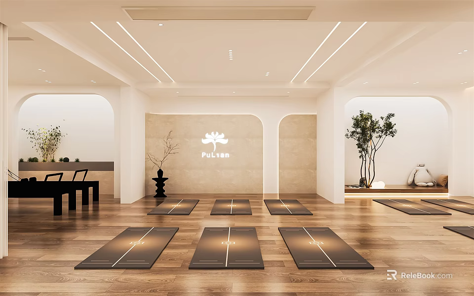 Yoga Fitness Studio With Wooden Floor And Multiple Yoga Mats For Exercise Training 3d model 