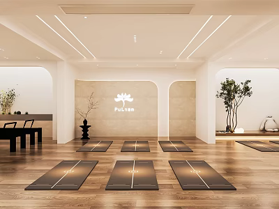 Yoga Fitness Studio With Wooden Floor And Multiple Yoga Mats For Exercise Training 3d model