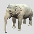 Elephant Elephant Chinese Elephant Asian Elephant African Elephant 3d model