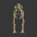 Detailed Animal Skeleton Model With Light Color And Dark Background Reflection 3d model