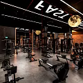 Modern Gym Interior With Various Fitness Equipment And Creative Lighting