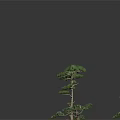 Unique Artistic Plants With Slender Trunks Curved Green Foliage Design