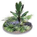 Vibrant Flower Plant Arrangement In Circular Bed With Large Leaves Purple Blooms Ferns Green Grass