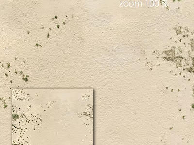 Natural Structural Components Of Sandy Terrain With Scattered Vegetation Patches 3d model