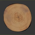 Natural Wooden Stump Decorative Piece With Tree Ring Texture And Rough Surface 3d model