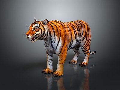 Tiger Down Mountain Tiger Siberian Tiger South China Tiger Wild Tiger Carved Stone Tiger 3d model