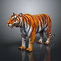 Realistic Tiger With Orange And Black Stripes Standing On Dark Reflective Background