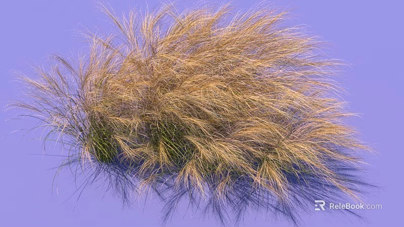 Beautiful Brown Fluffy Ornamental Grass With Slender Leaves On Purple Background 3d model 