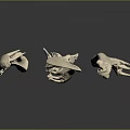 Animal Claw Skeletal Structure Detailed Anatomical Features For Biological Study And Research