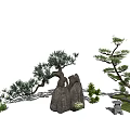 Modern tree landscape sketch landscape tree 3d model