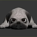 Cute White Pug Stuffed Toy Lying Down On Black Surface With Reflection 3d model