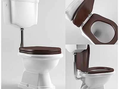 Elegant White Toilet With Brown Seat Modern Design And Comfortable Features 3d model