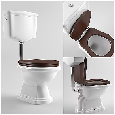 Elegant White Toilet With Brown Seat Modern Design And Comfortable Features 3d model
