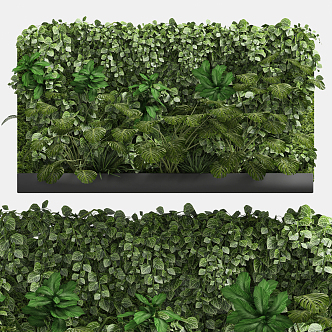 Modern Plant Wall 3d model