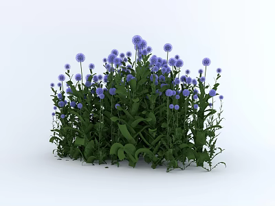 Lush Flower Bush With Green Leaves And Purple Blooms In Garden 3d model