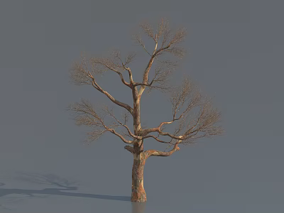 Modern Dead Tree 3d model