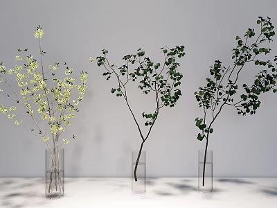Three Transparent Vases With White Flowers And Green Branches On White Background 3d model