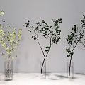 Three Transparent Vases With White Flowers And Green Branches On White Background
