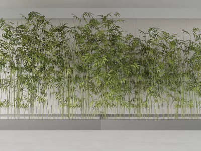 Tall Lush Bamboo Wall With Green Leaves Against Light Colored Wall And Gray Floor 3d model