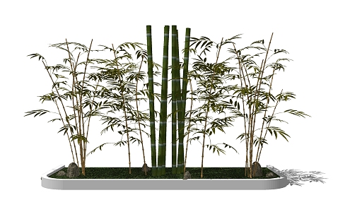 Modern bamboo landscape sketch 3d model